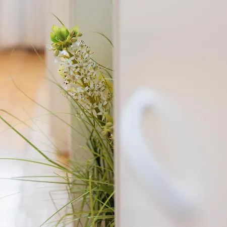 Centro -elegante Dimora Con Parcheggio&bici Appartamento