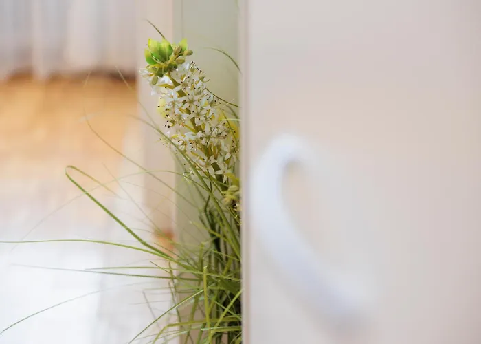 Centro -elegante Dimora Con Parcheggio&bici 아파트